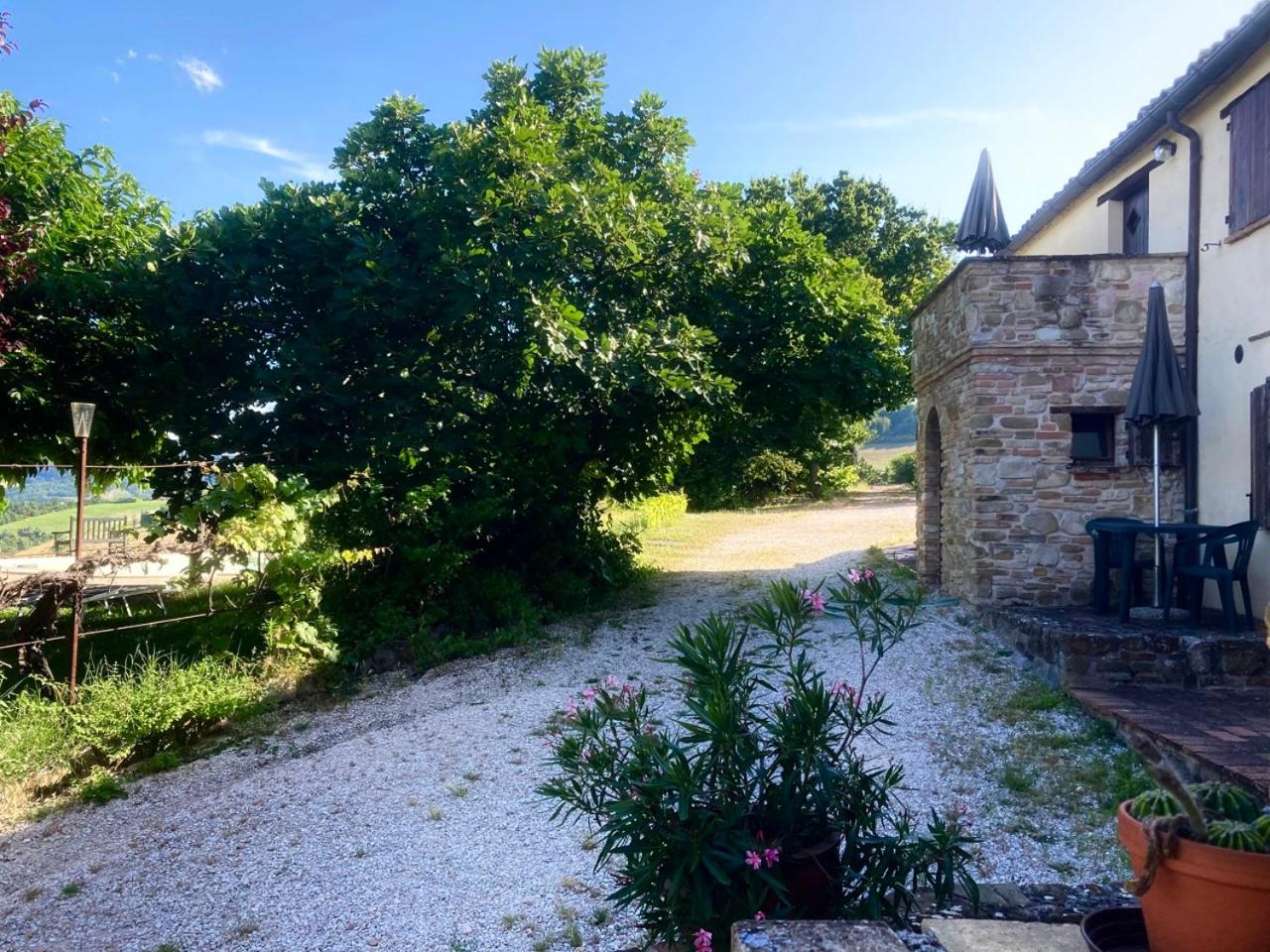 Agriturismo Colle del Lupo view 5