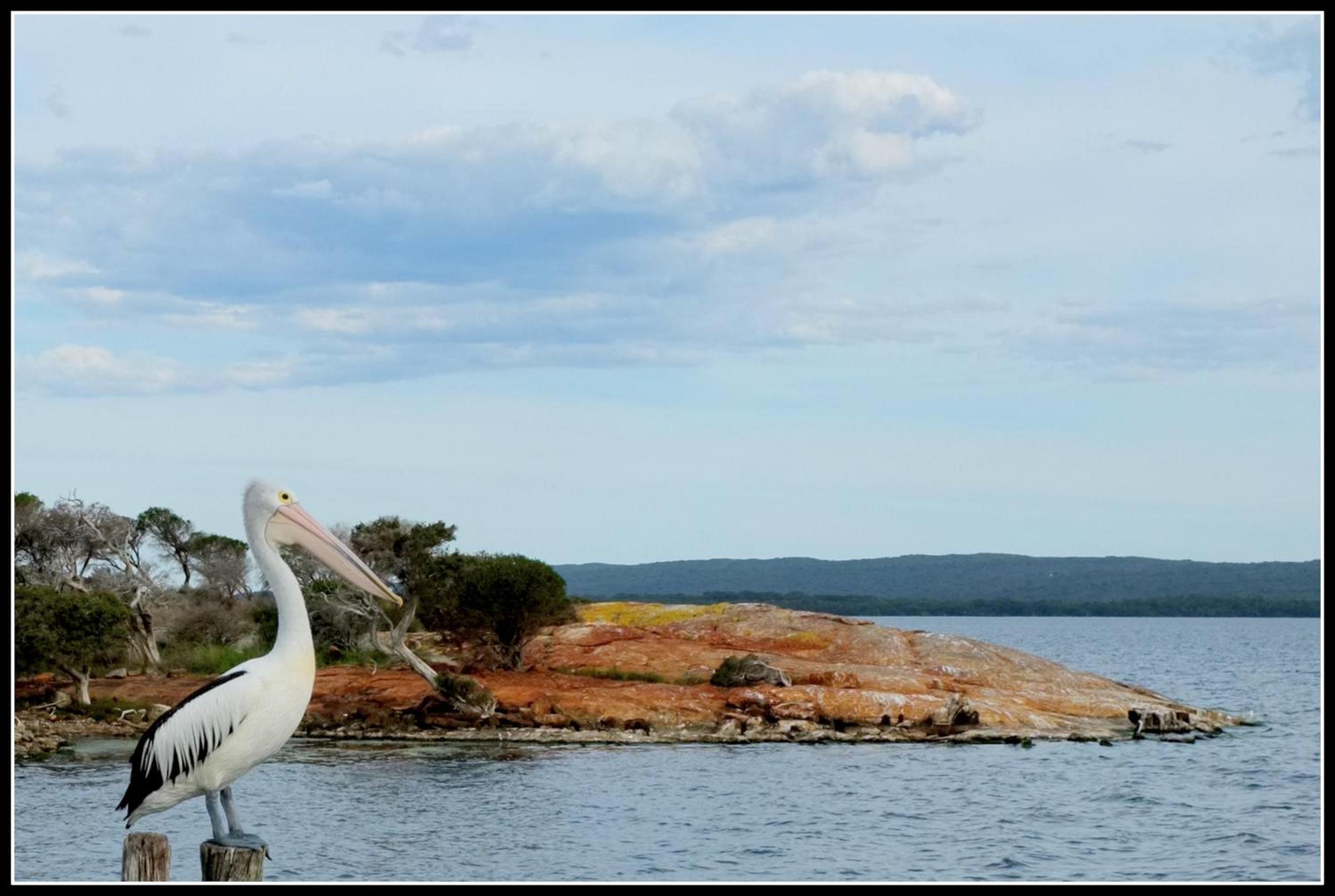 The Coombe on Wilson Inlet
