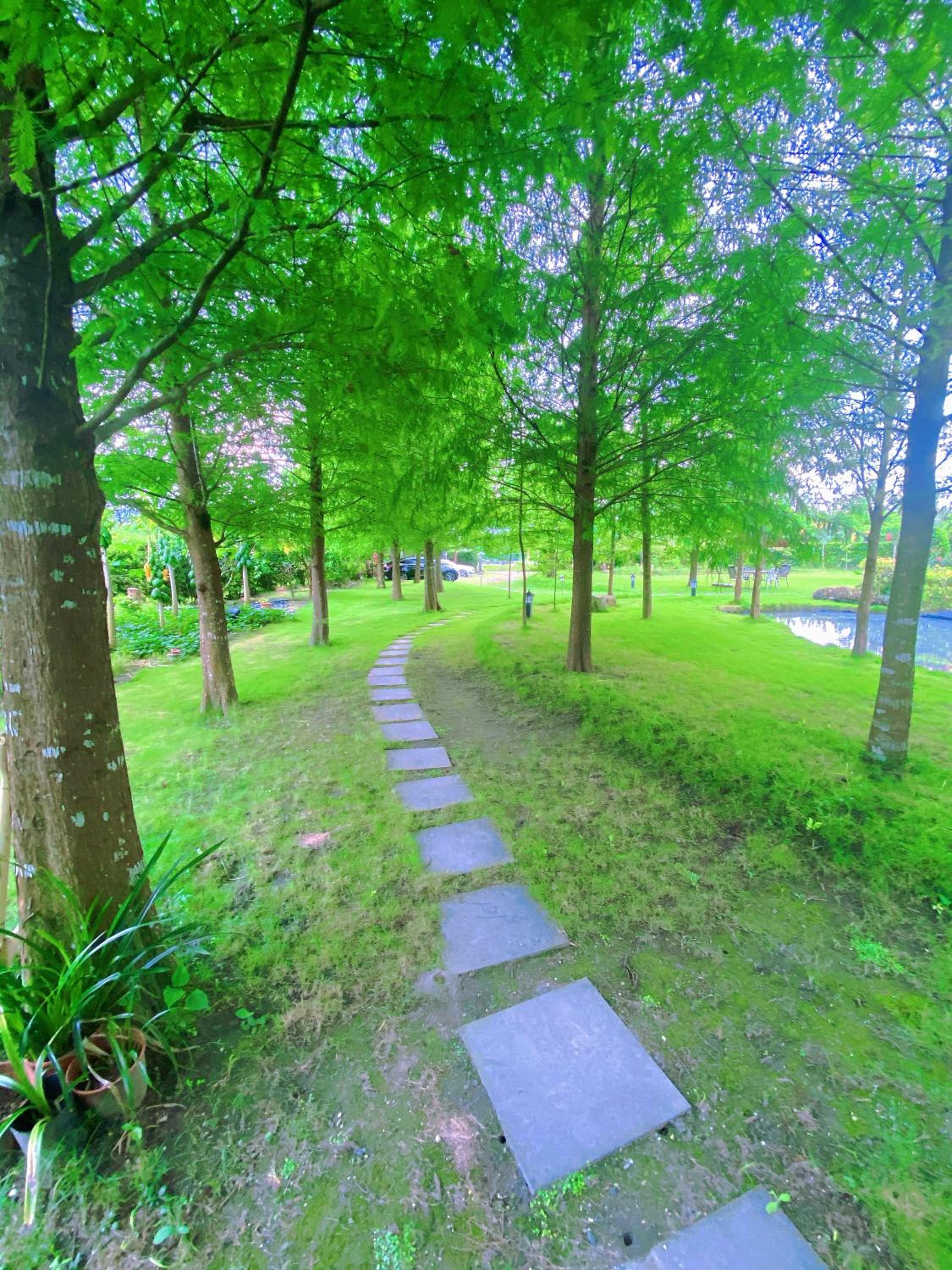 Gihak Homestay view 3
