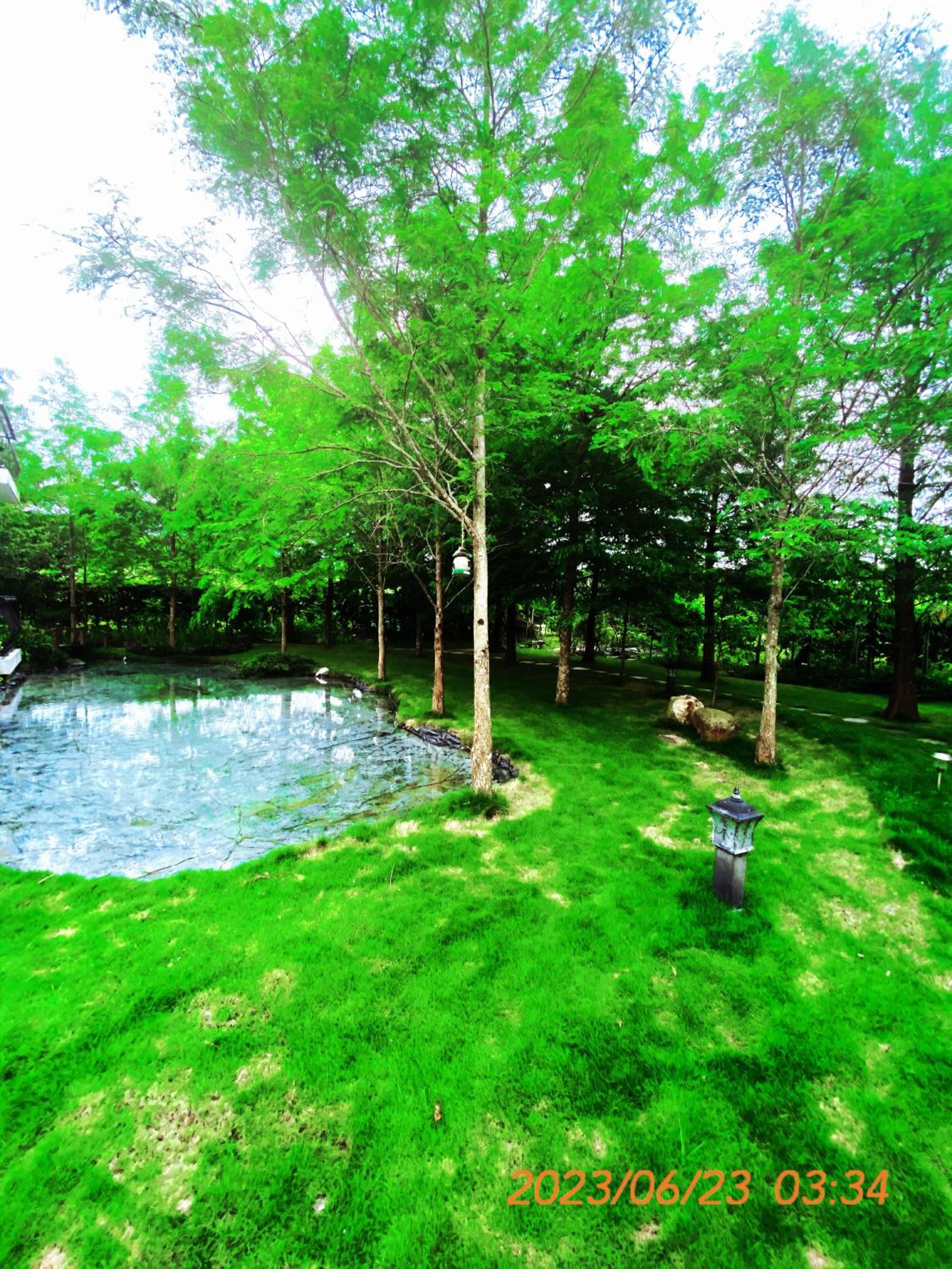Gihak Homestay view 4