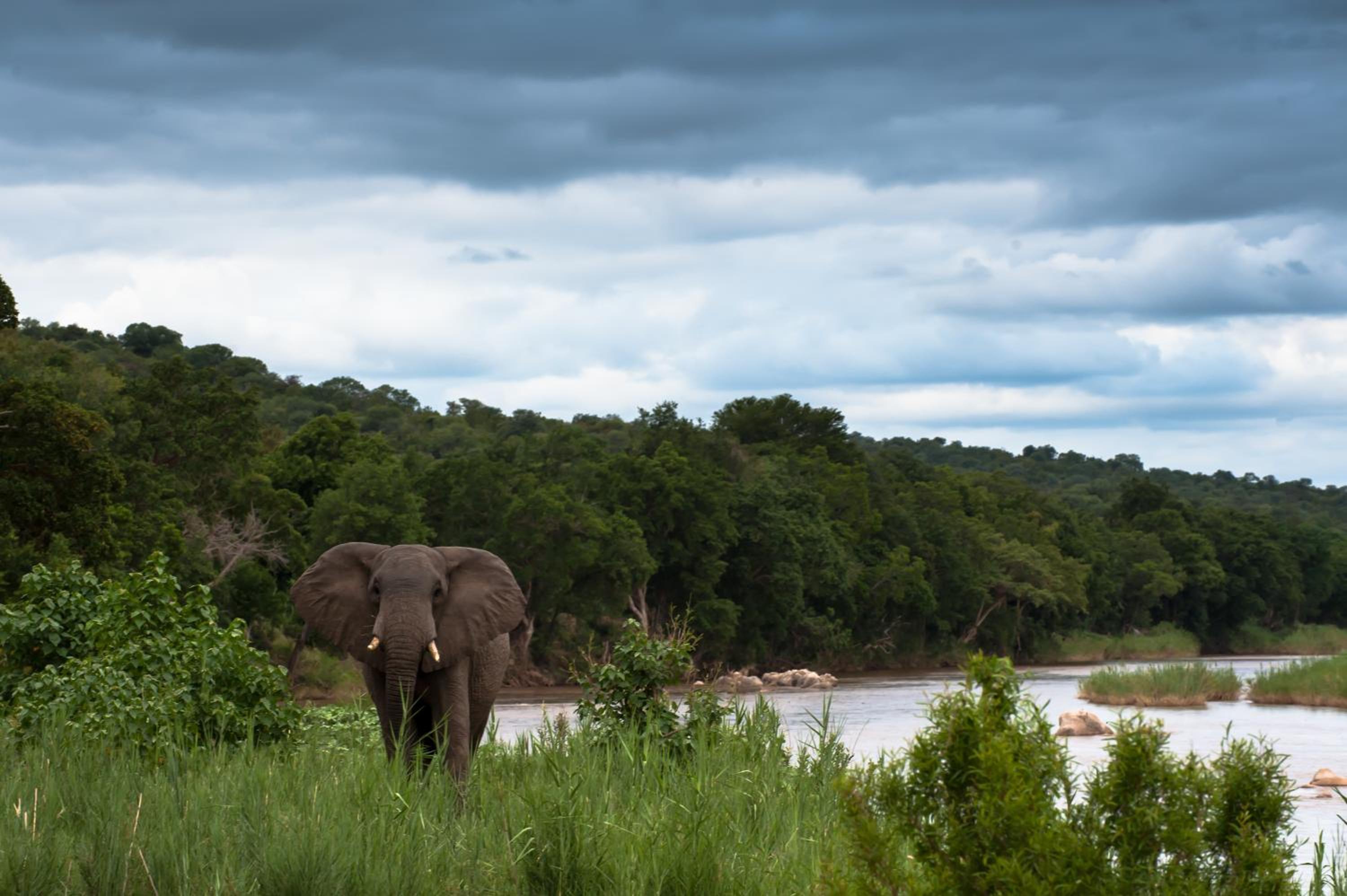 Maninghi Lodge