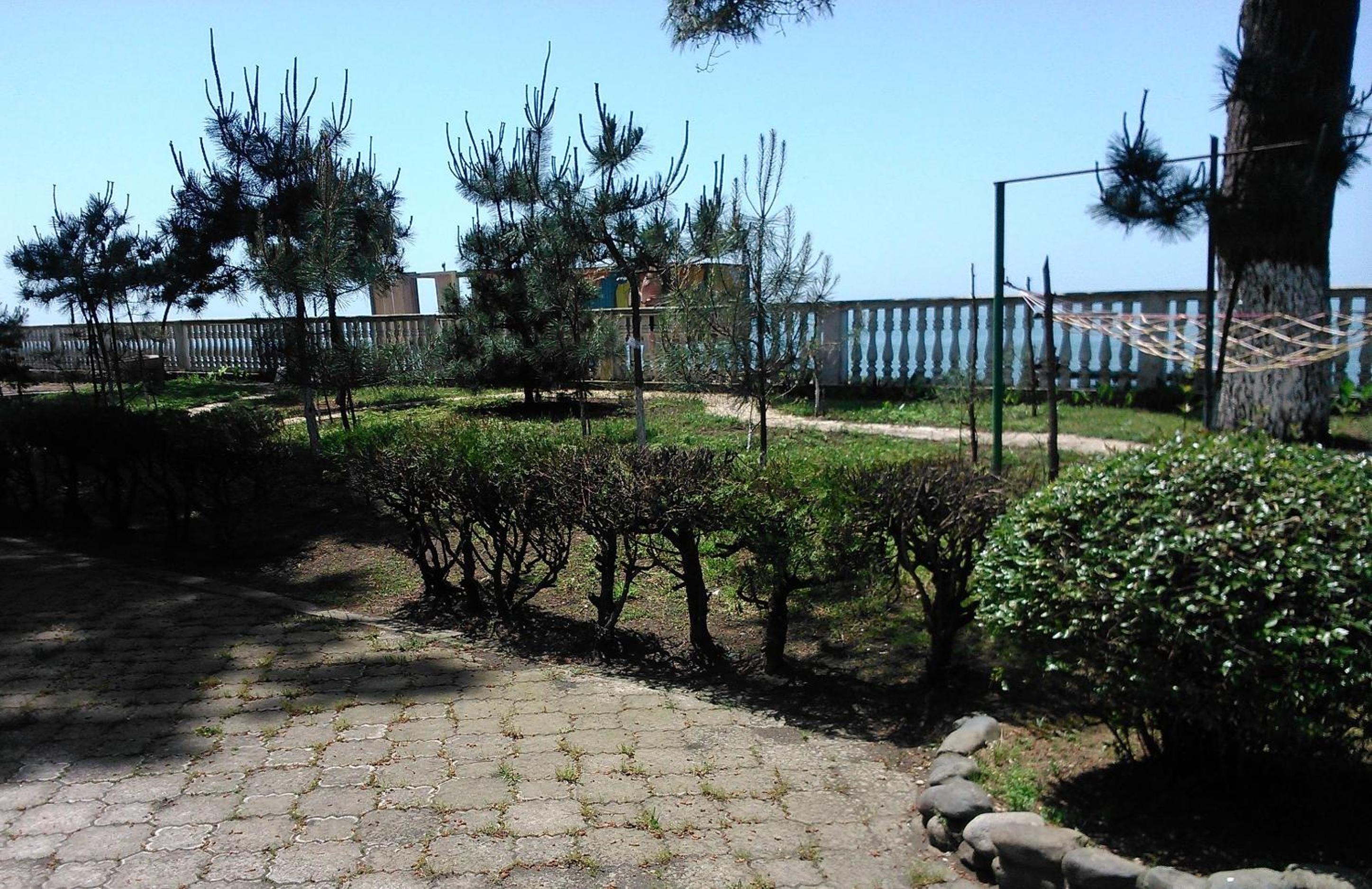 Photo 19
