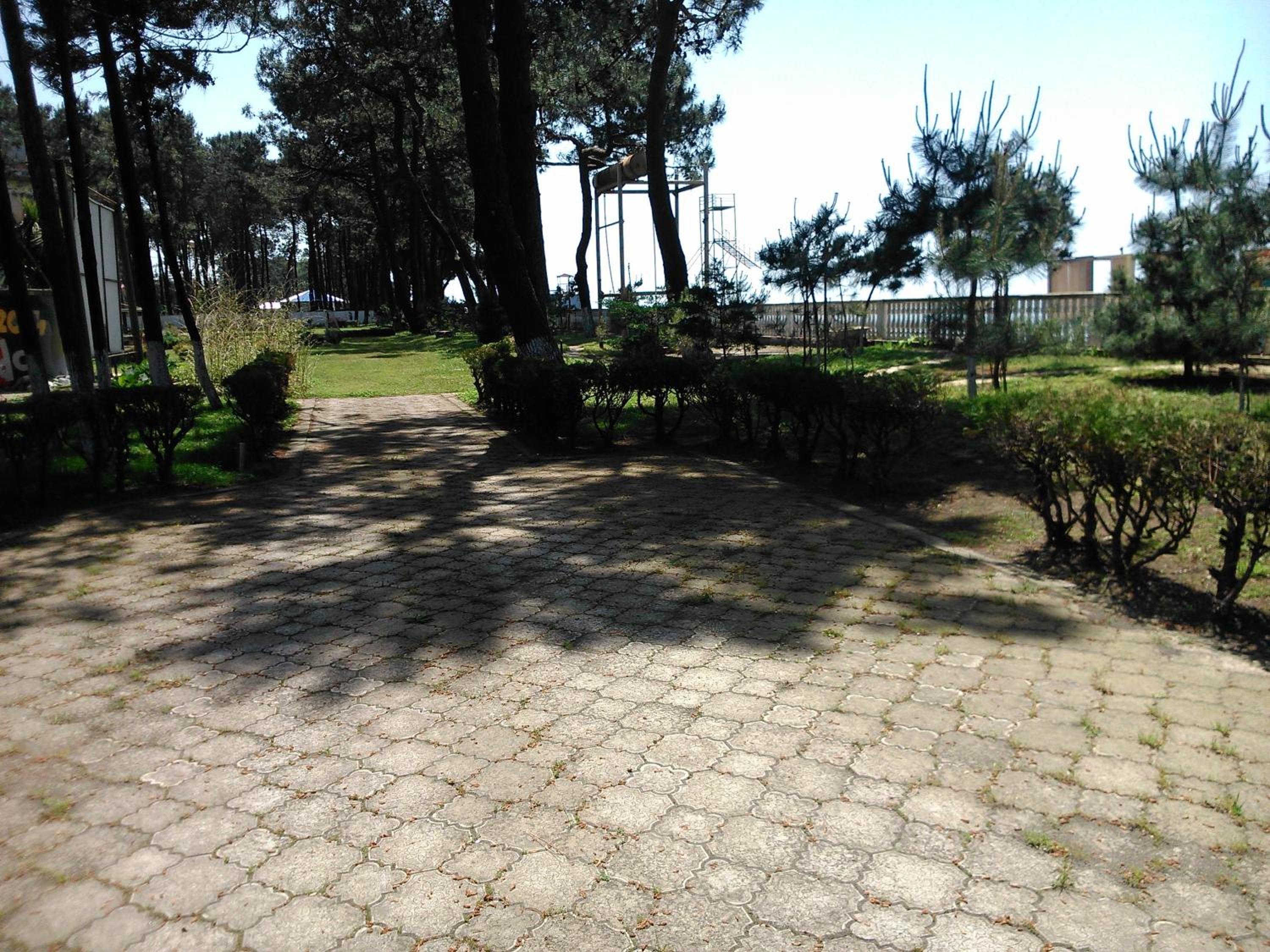 Photo 20