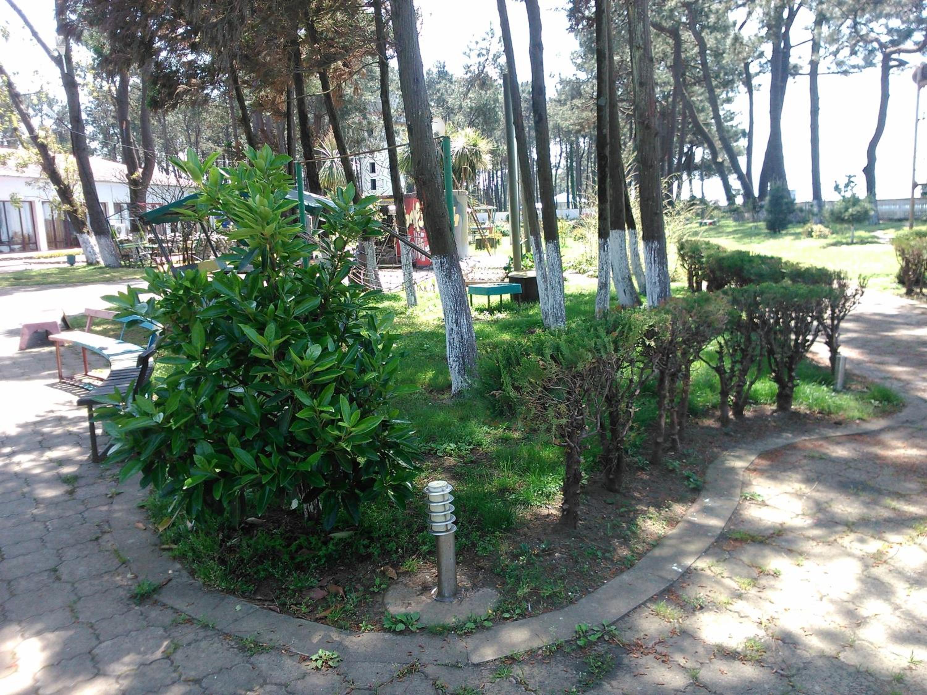 Photo 22