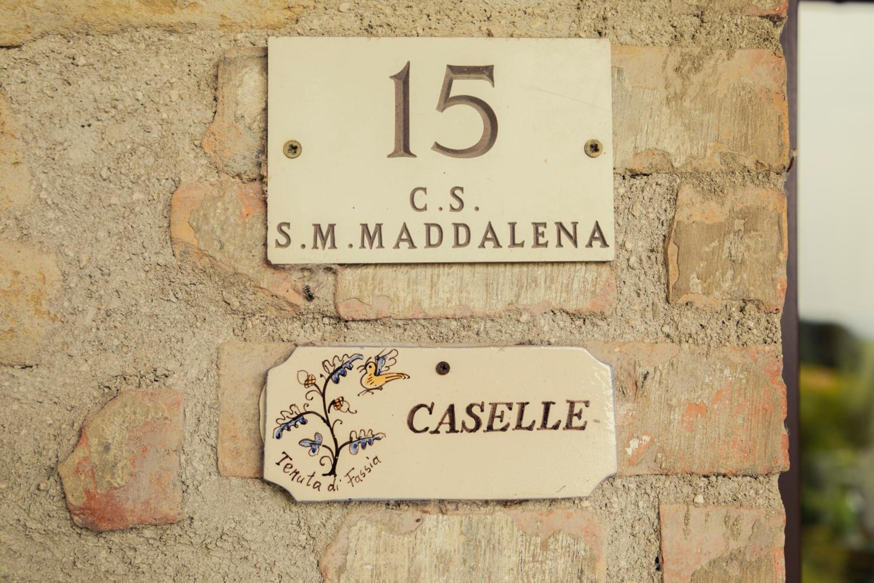 Photo 46
