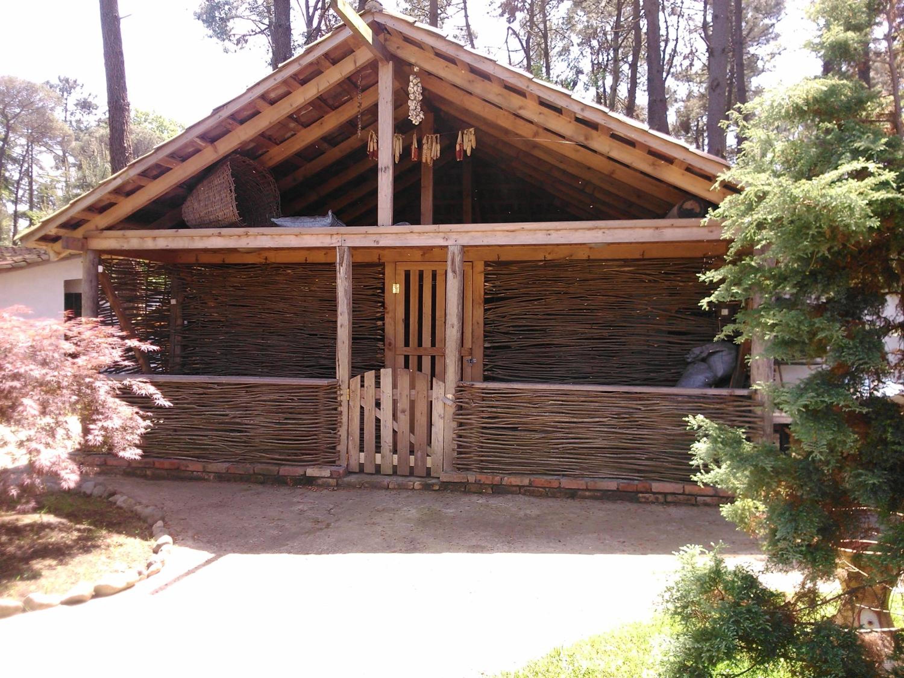Photo 28