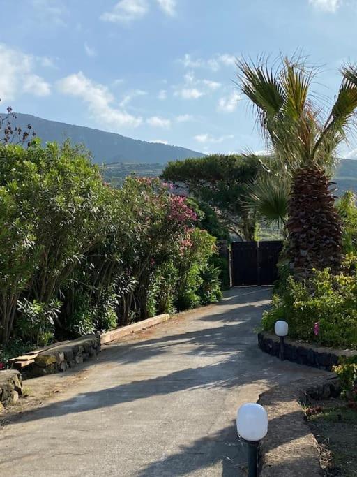 El Sagiri un'oasi nel Mediterraneo view 3