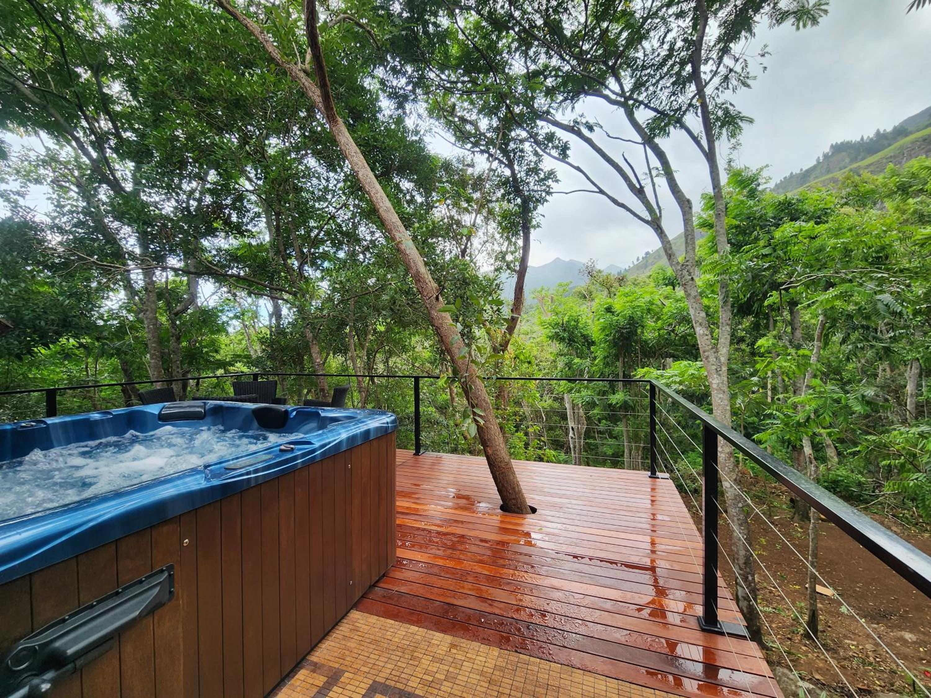 Wild Cassia view 5