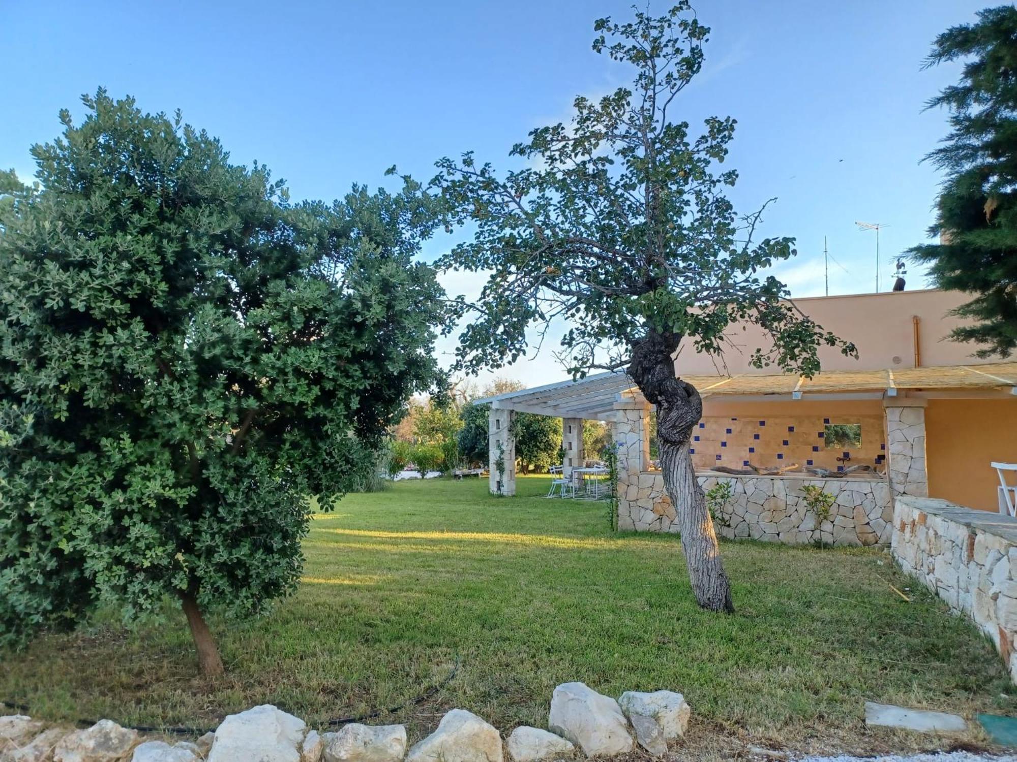Photo 26