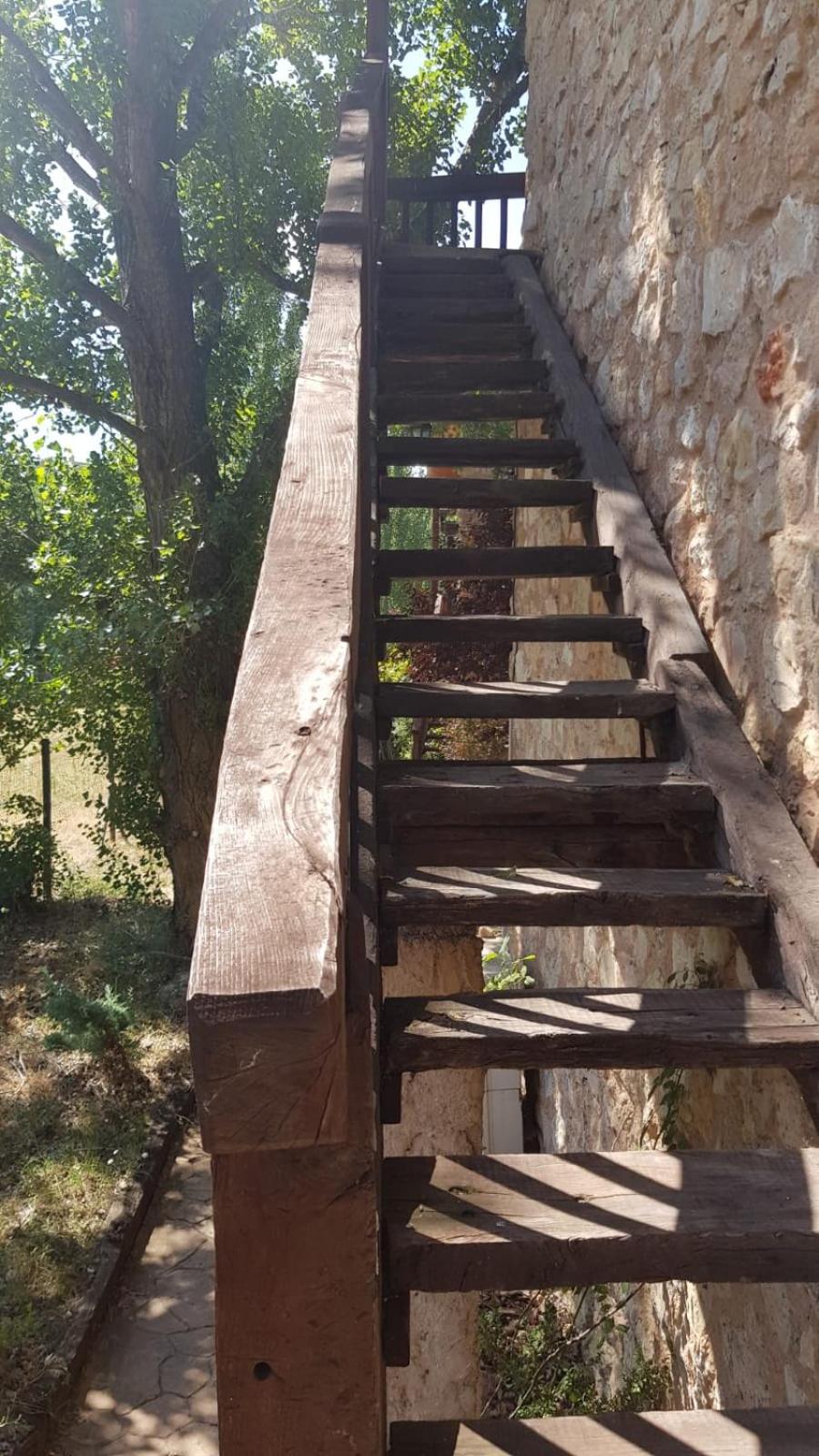 Acebos del Tajo
