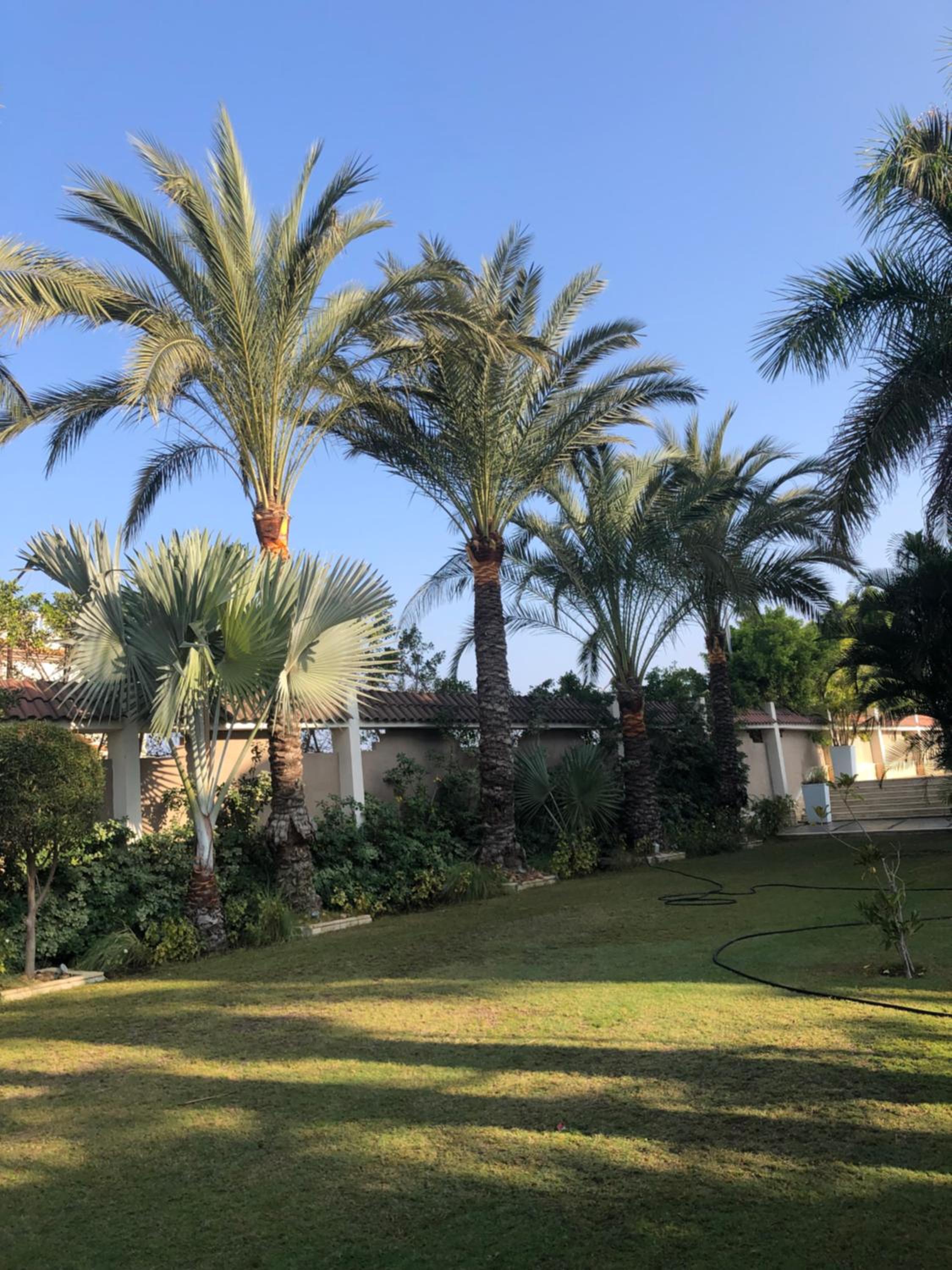Condo in a Private Resort setting King Maryout Alamriyah Governorate Egypt Comes with an outdoor private infinity swimming pool with a large garden Borg Al view 5