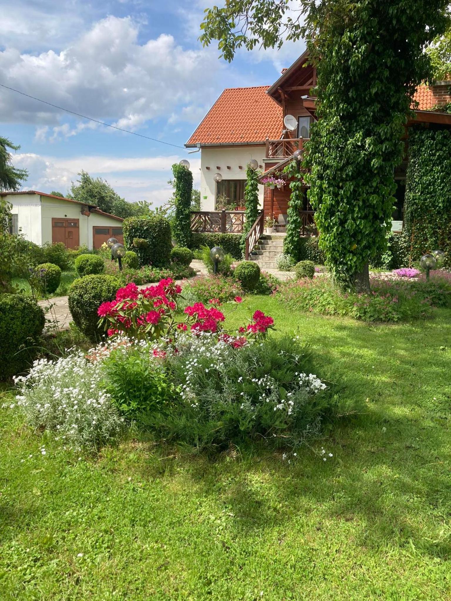 Orehite Guest House