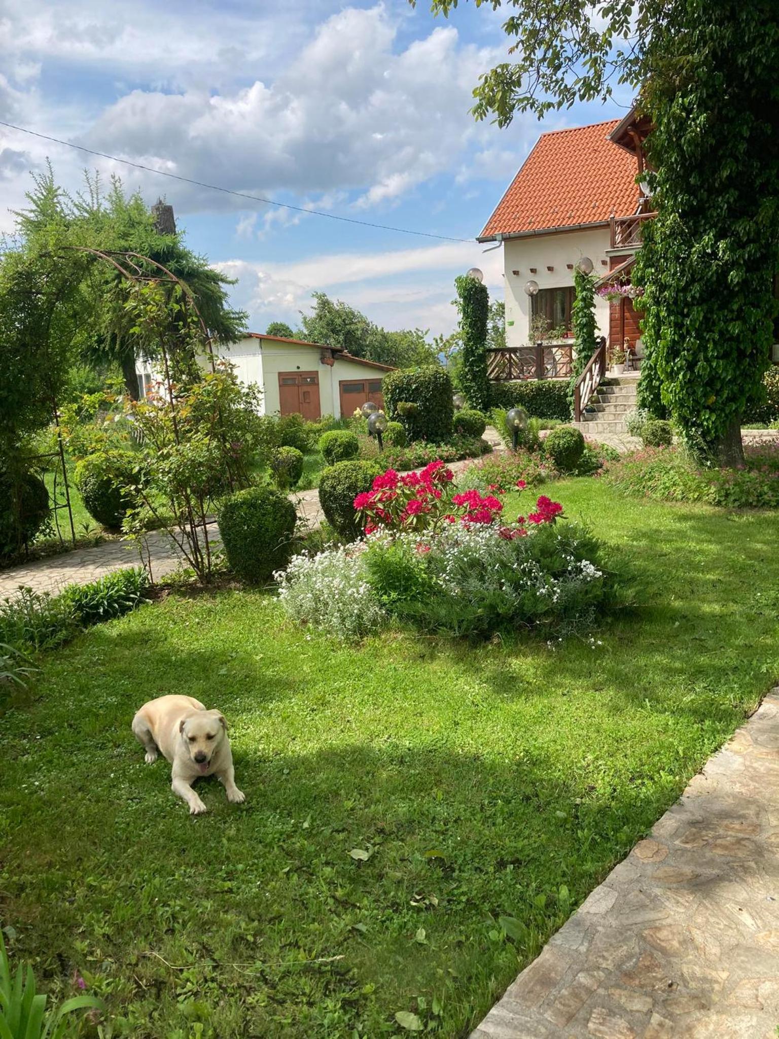 Orehite Guest House