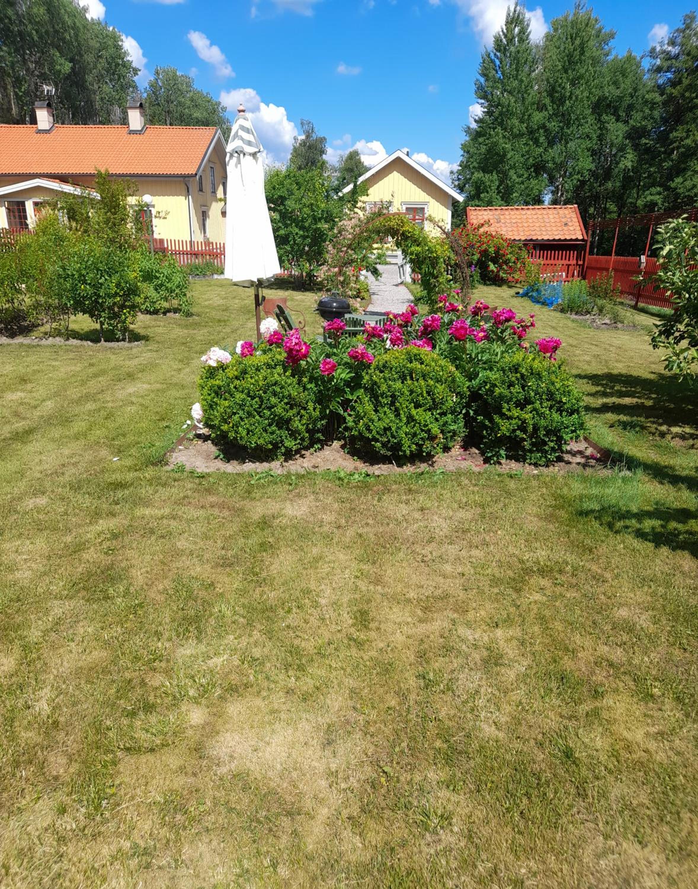 Photo 34