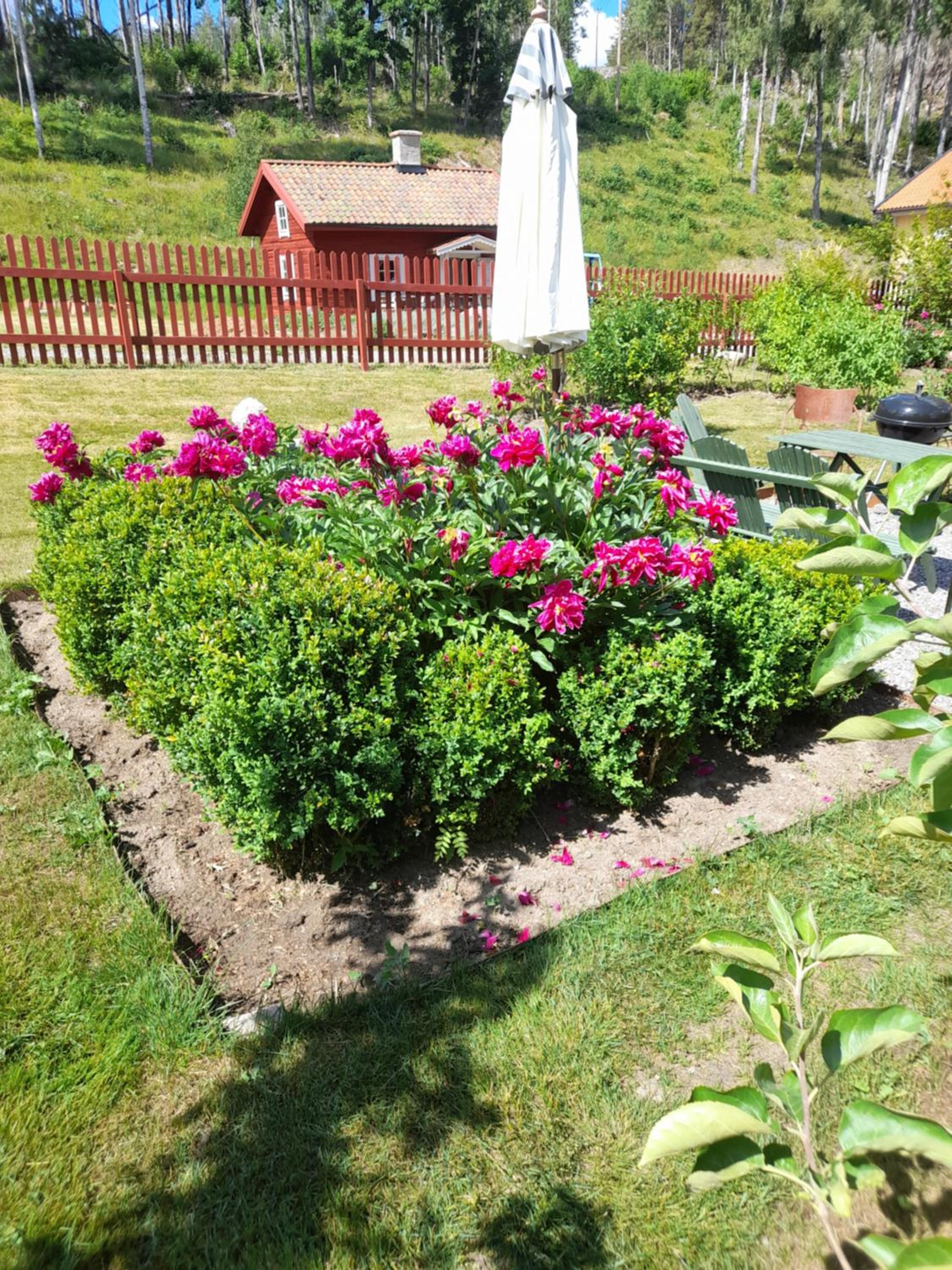 Photo 35