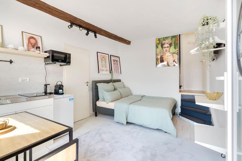 Tiny apartment with spacious terrace on the Rhine
