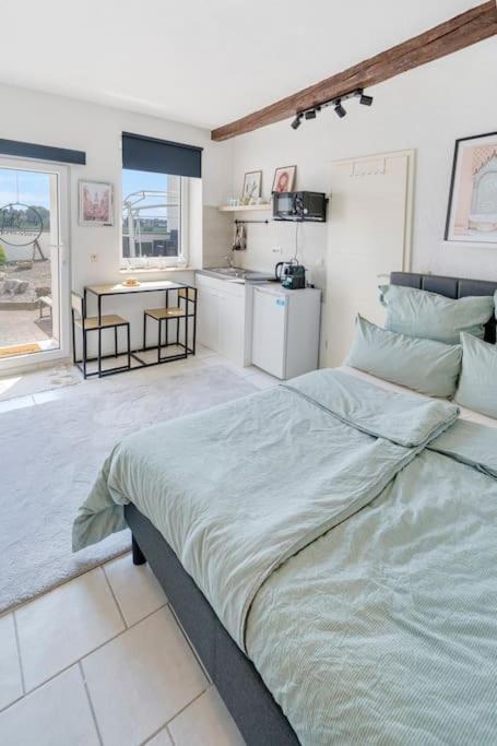 Tiny apartment with spacious terrace on the Rhine