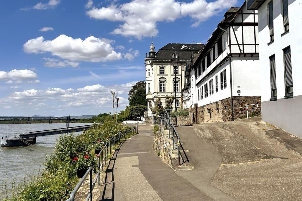 Tiny apartment with spacious terrace on the Rhine