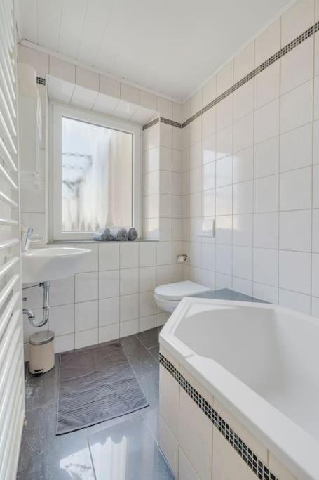Tiny apartment with spacious terrace on the Rhine