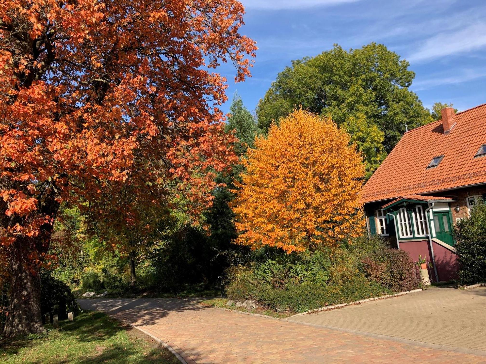 Forsthaus Neudorf - Gartenblick