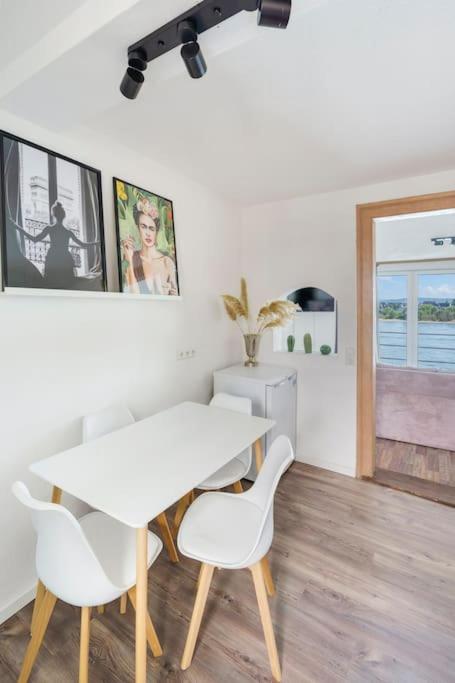 Beautiful apartment right on the Rhine