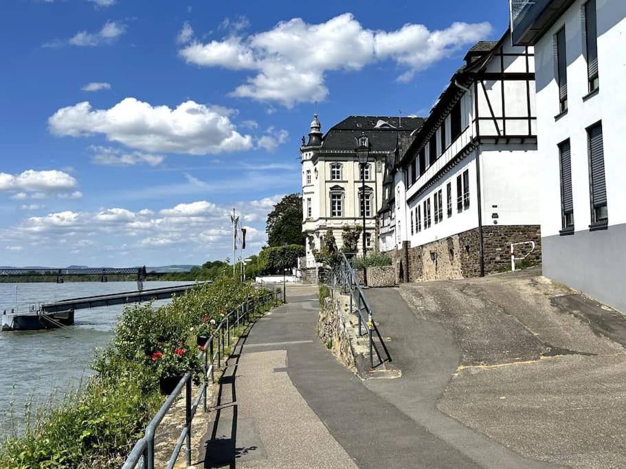 Beautiful apartment right on the Rhine
