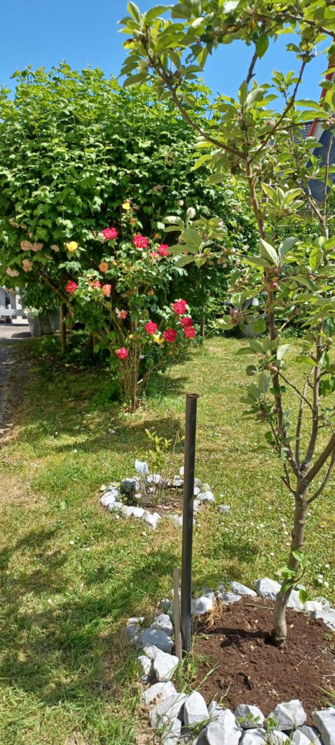 Ferienwohnung An den Linden