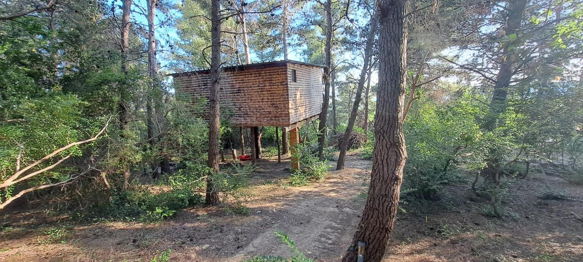 TreeHouses Ljubač Glamping Robinson view 2