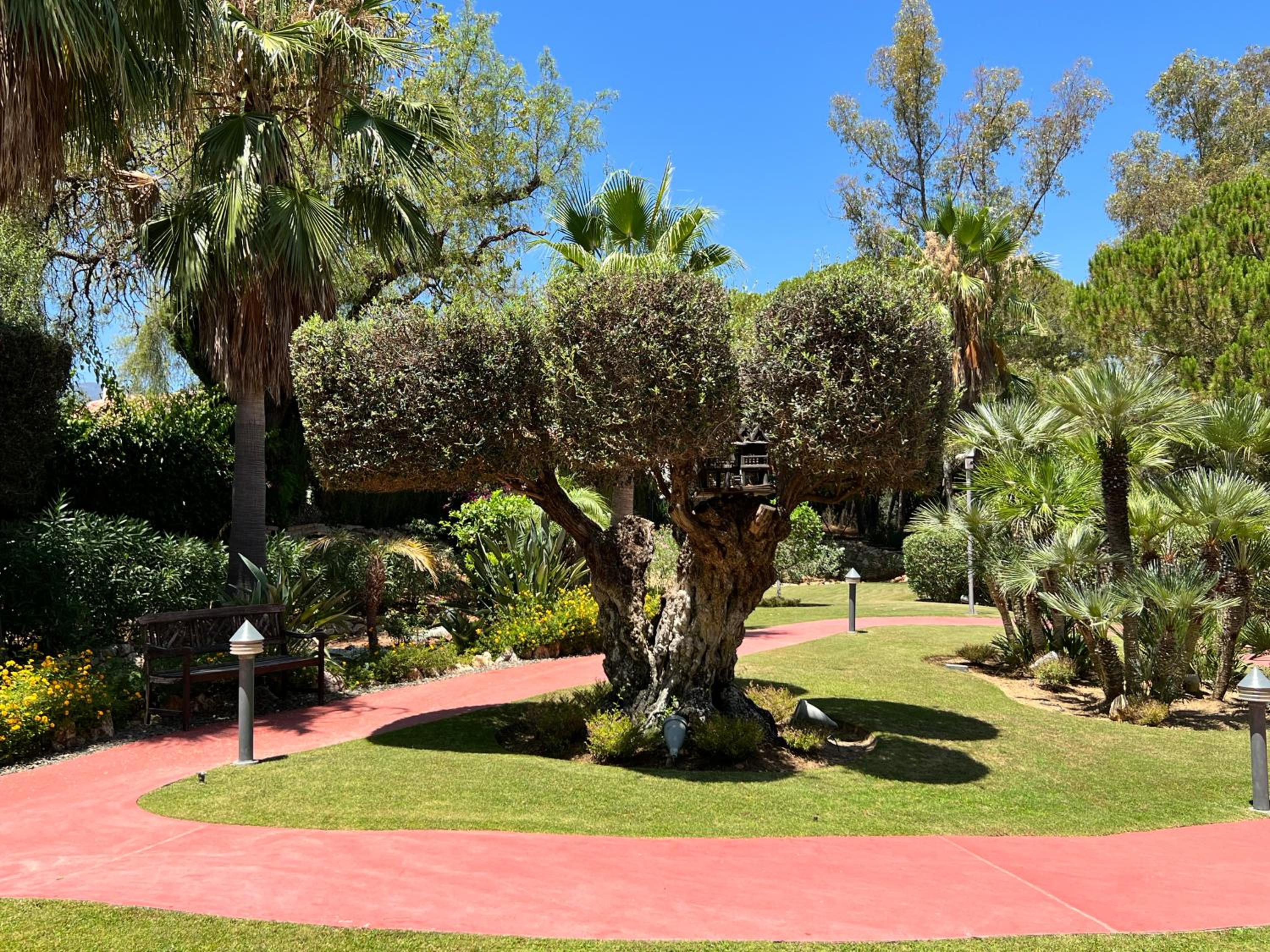 Luxury and Relax in Marbella