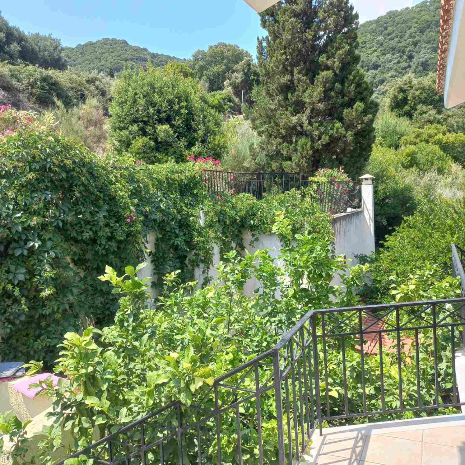 Giannatos' Studios - Makis view 5