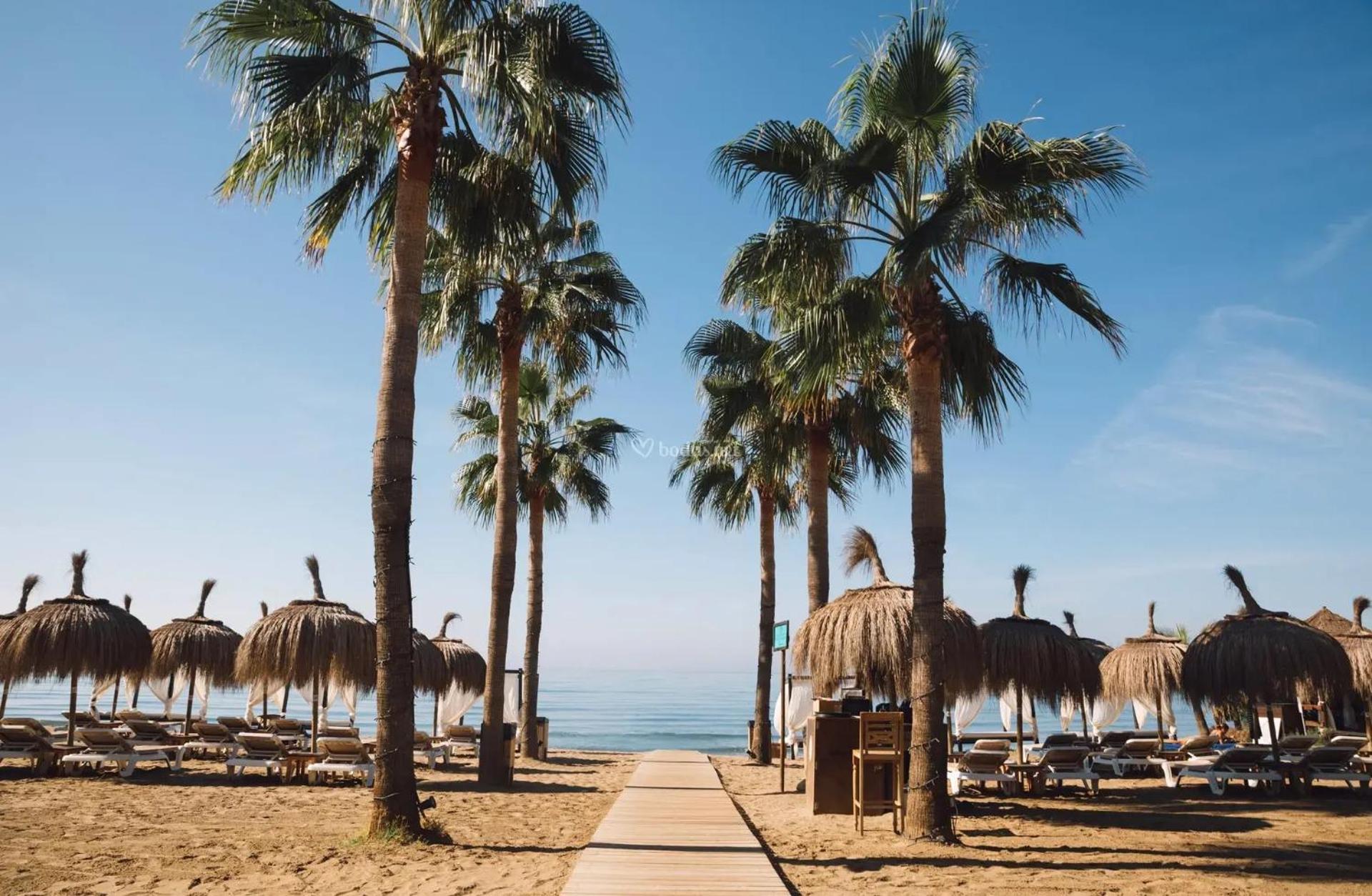 Luxury and Relax in Marbella