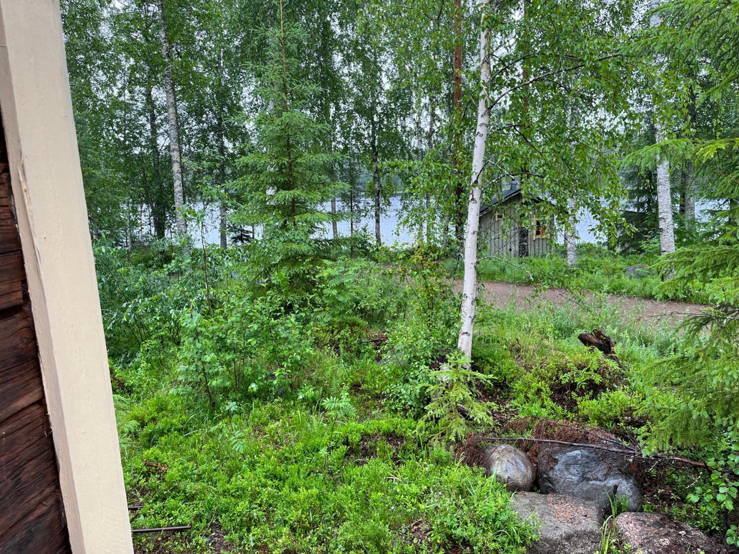 Koivuisenranta