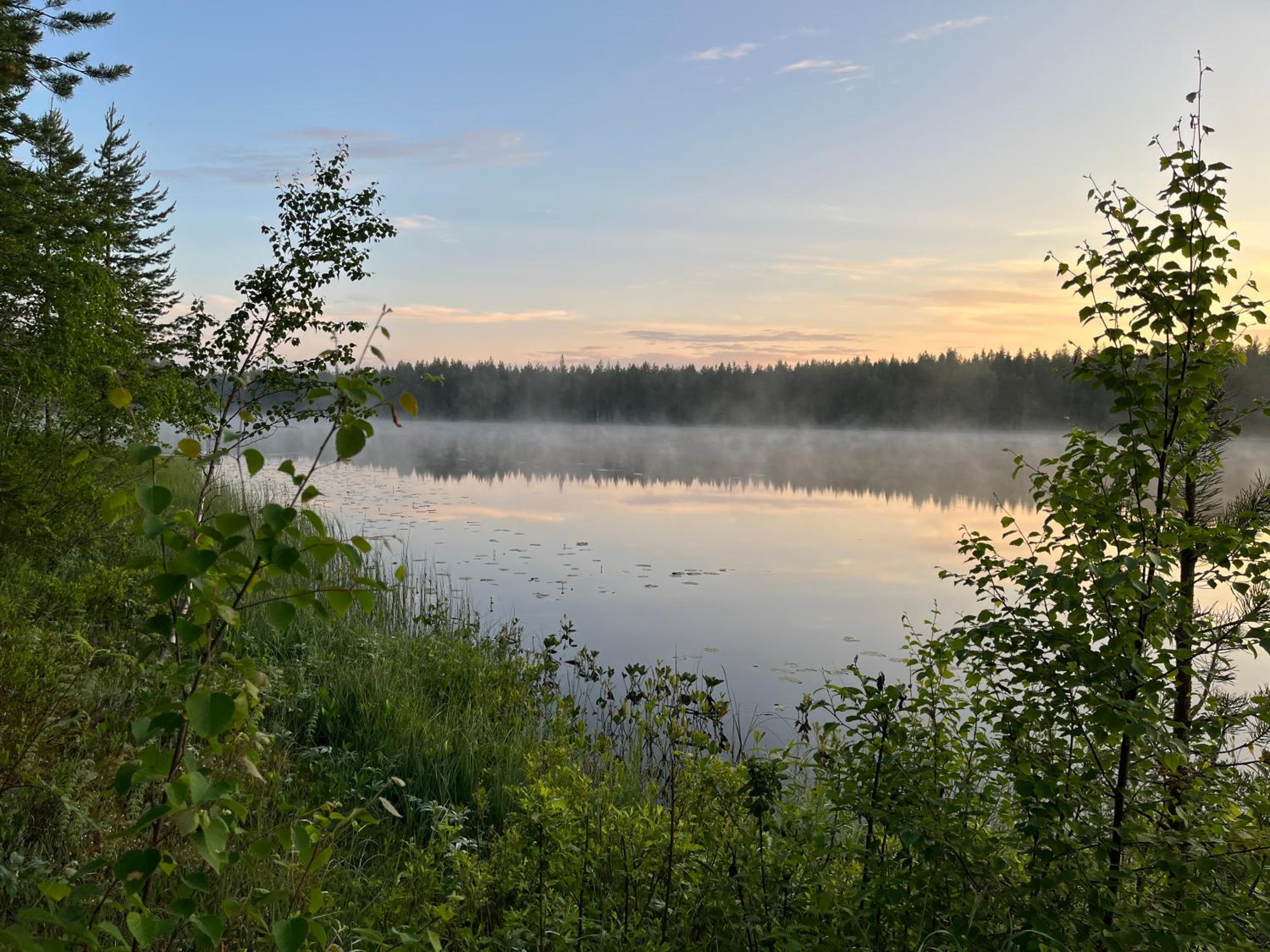Koivuisenranta