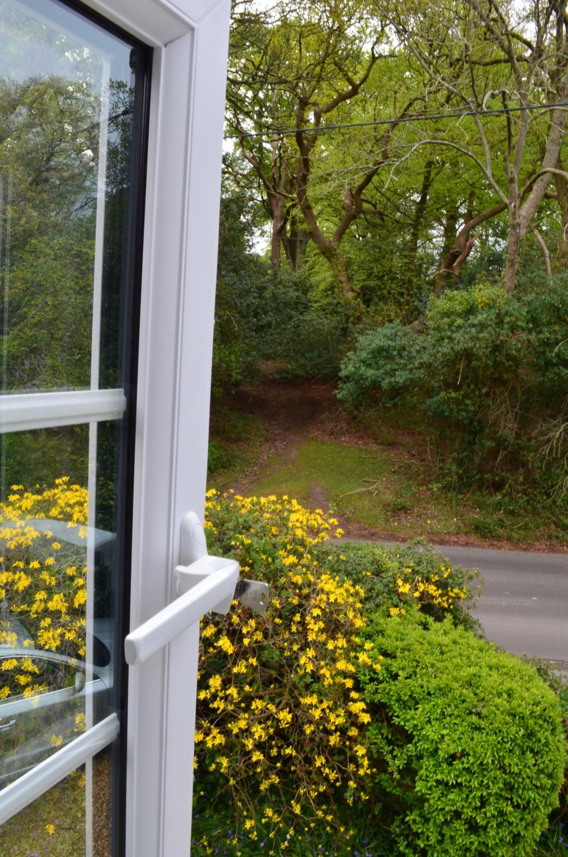 Spacious family cottage with private garden and forest walks