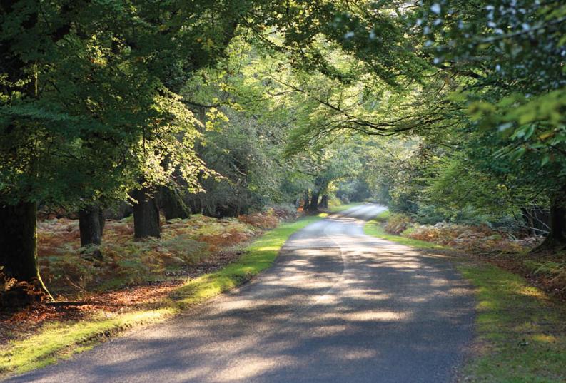 Spacious family cottage with private garden and forest walks