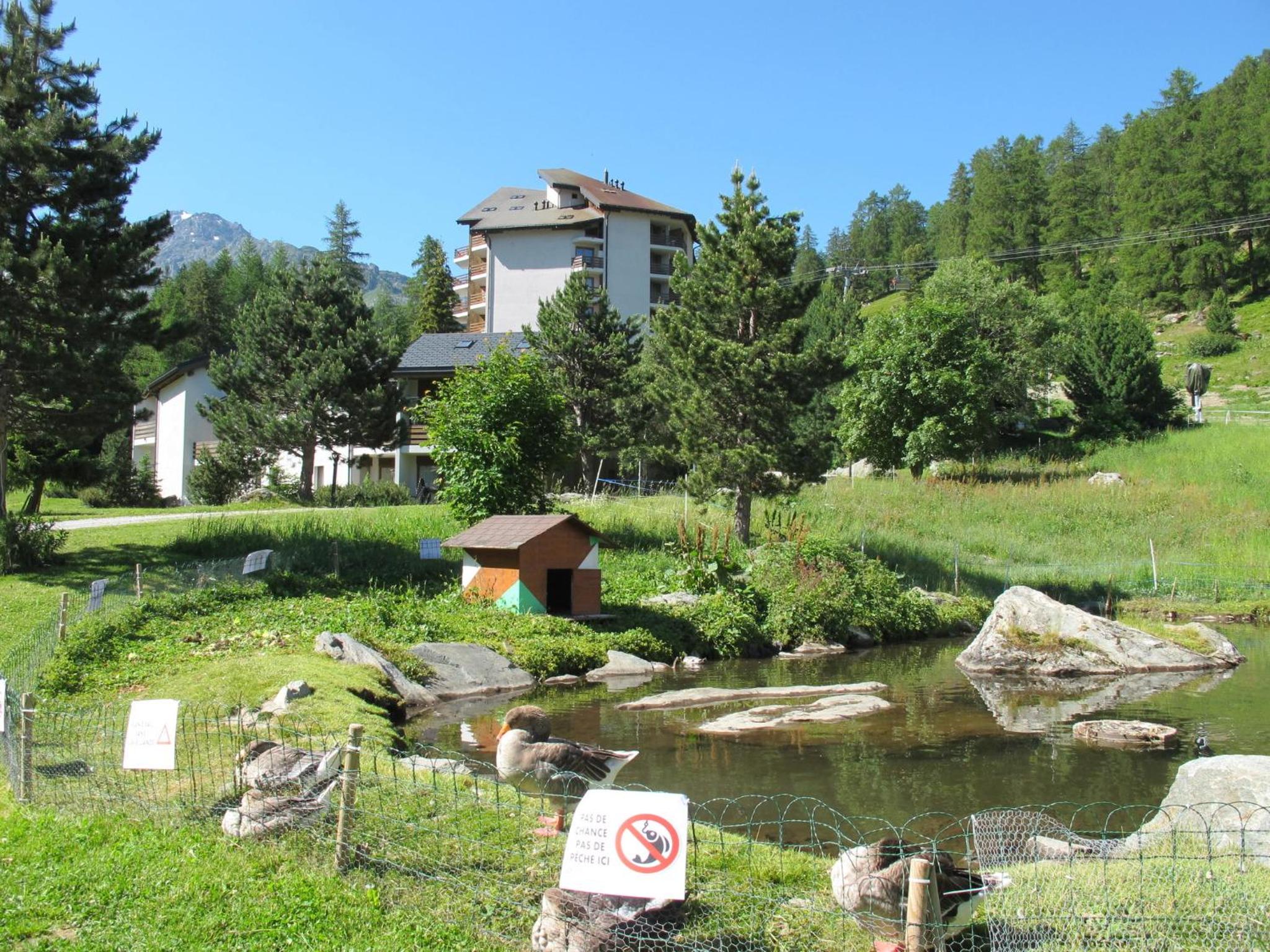 Residenz Montfort C3 SIVI150 SKI IN AND SKI OUT