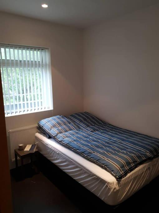 1-bedroom apartment by city center, free parking view 3