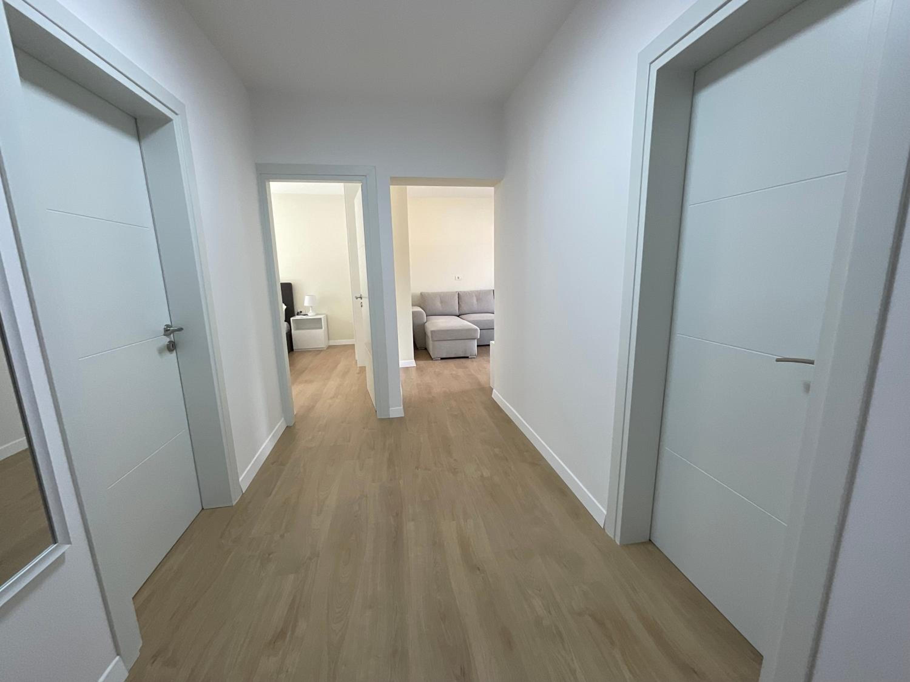 Spring apartment in Permet