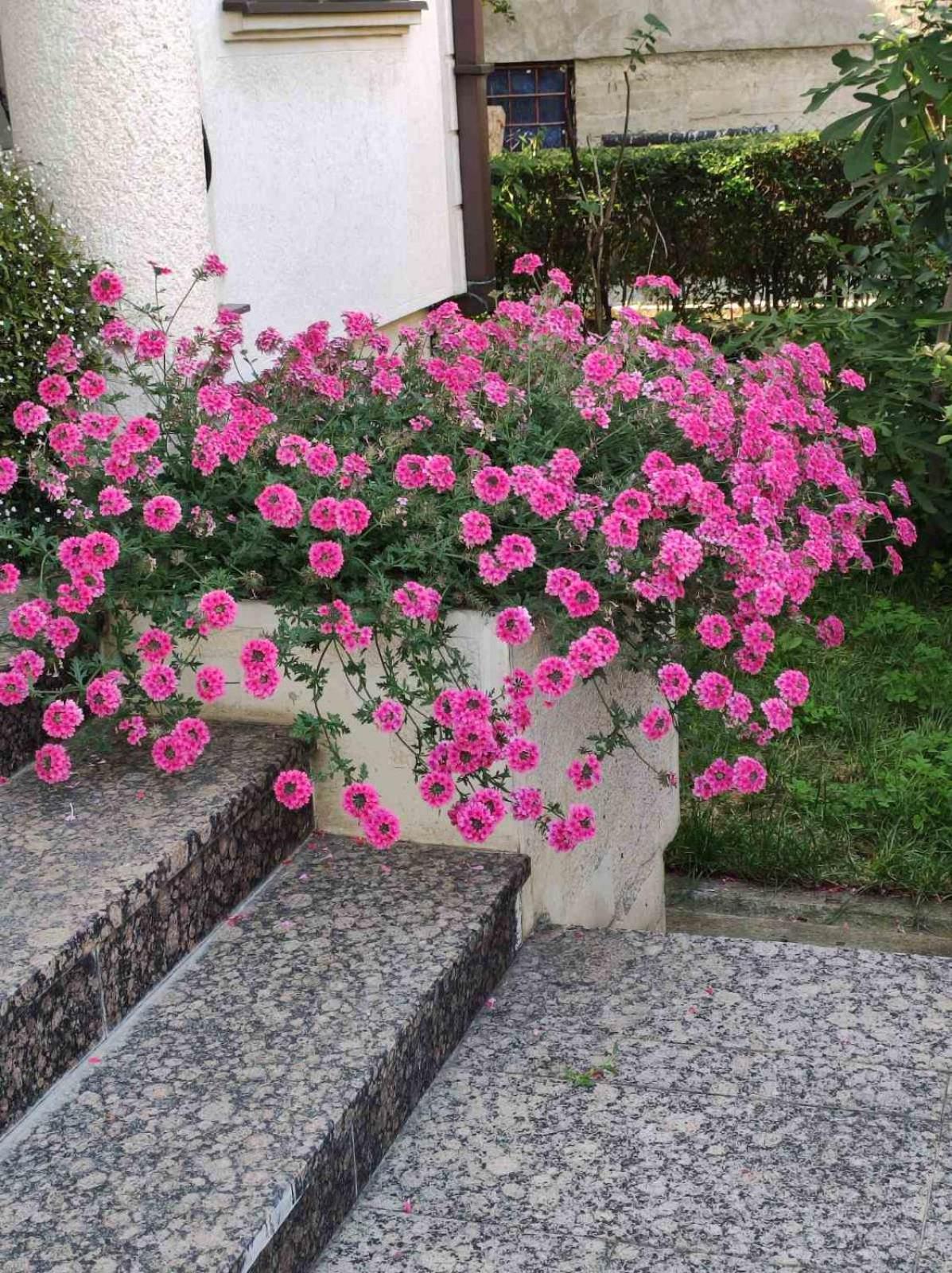 Photo 54