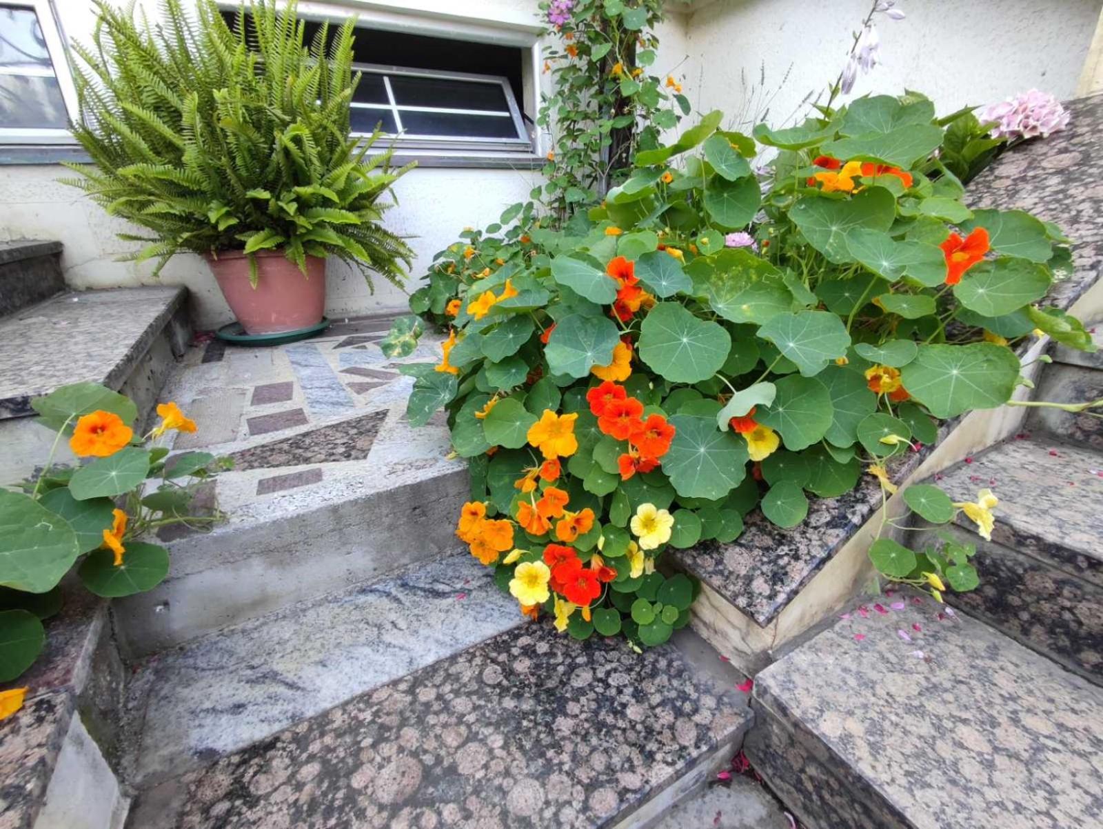 Photo 53