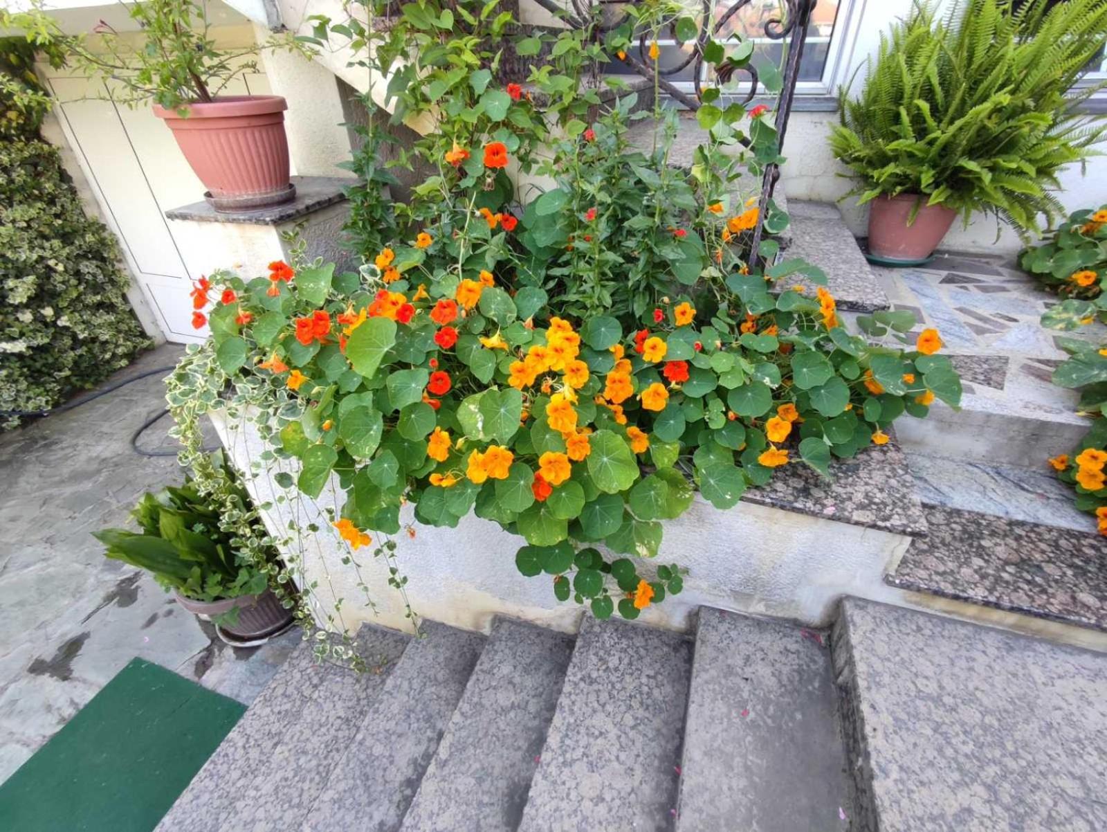 Photo 52