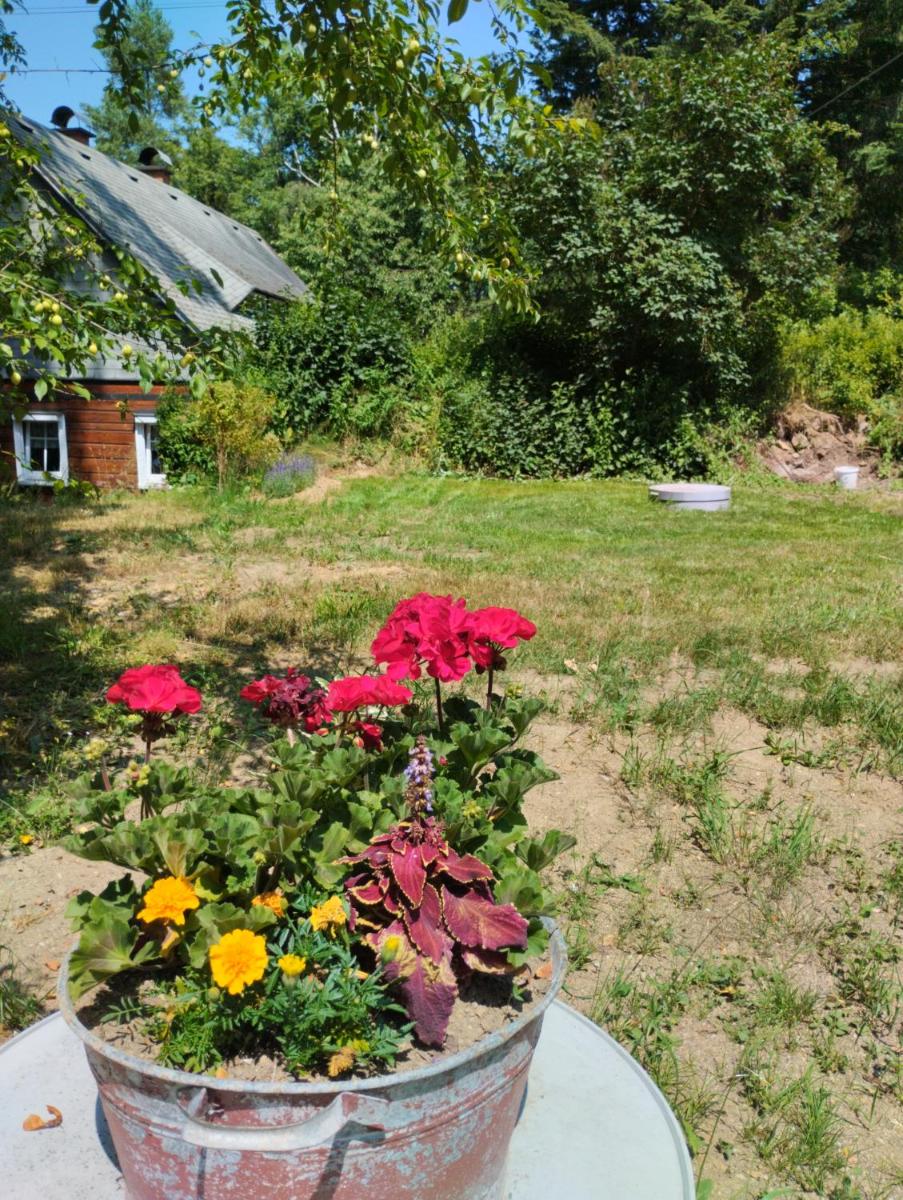 Photo 34