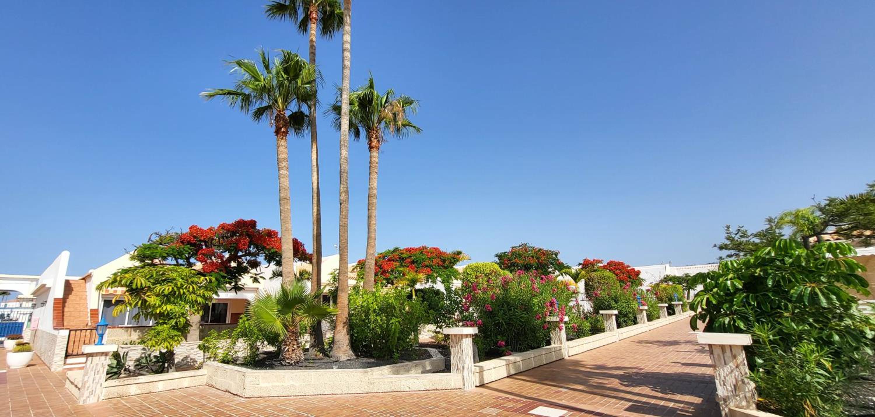 Palm Resort Duplex Apartment
