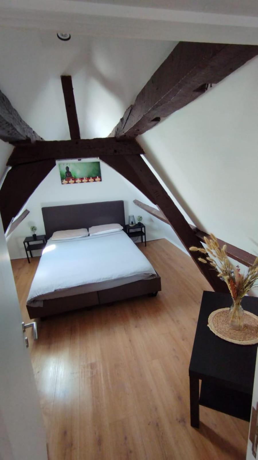 The 16th Century Duplex in The City Center