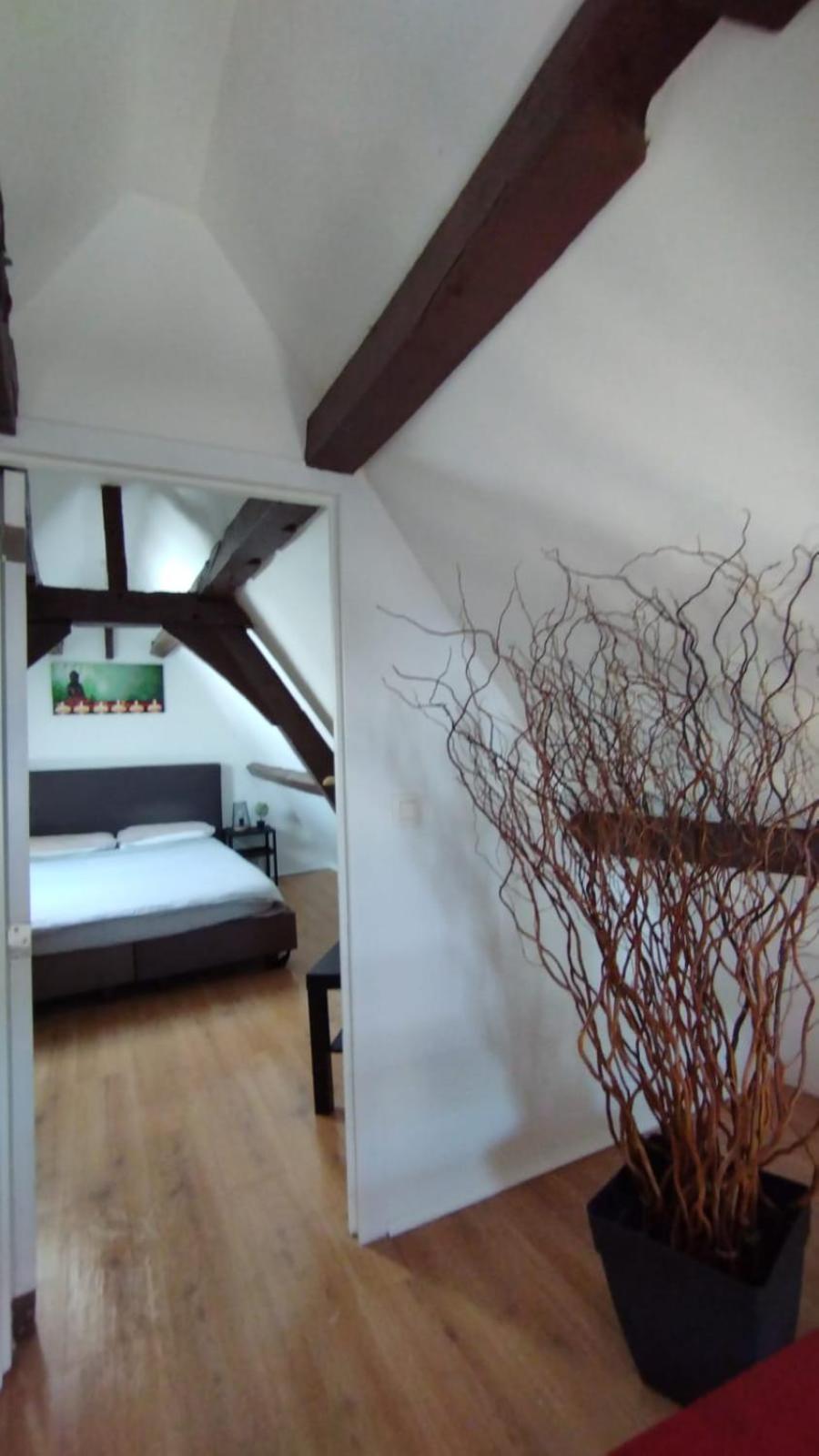The 16th Century Duplex in The City Center