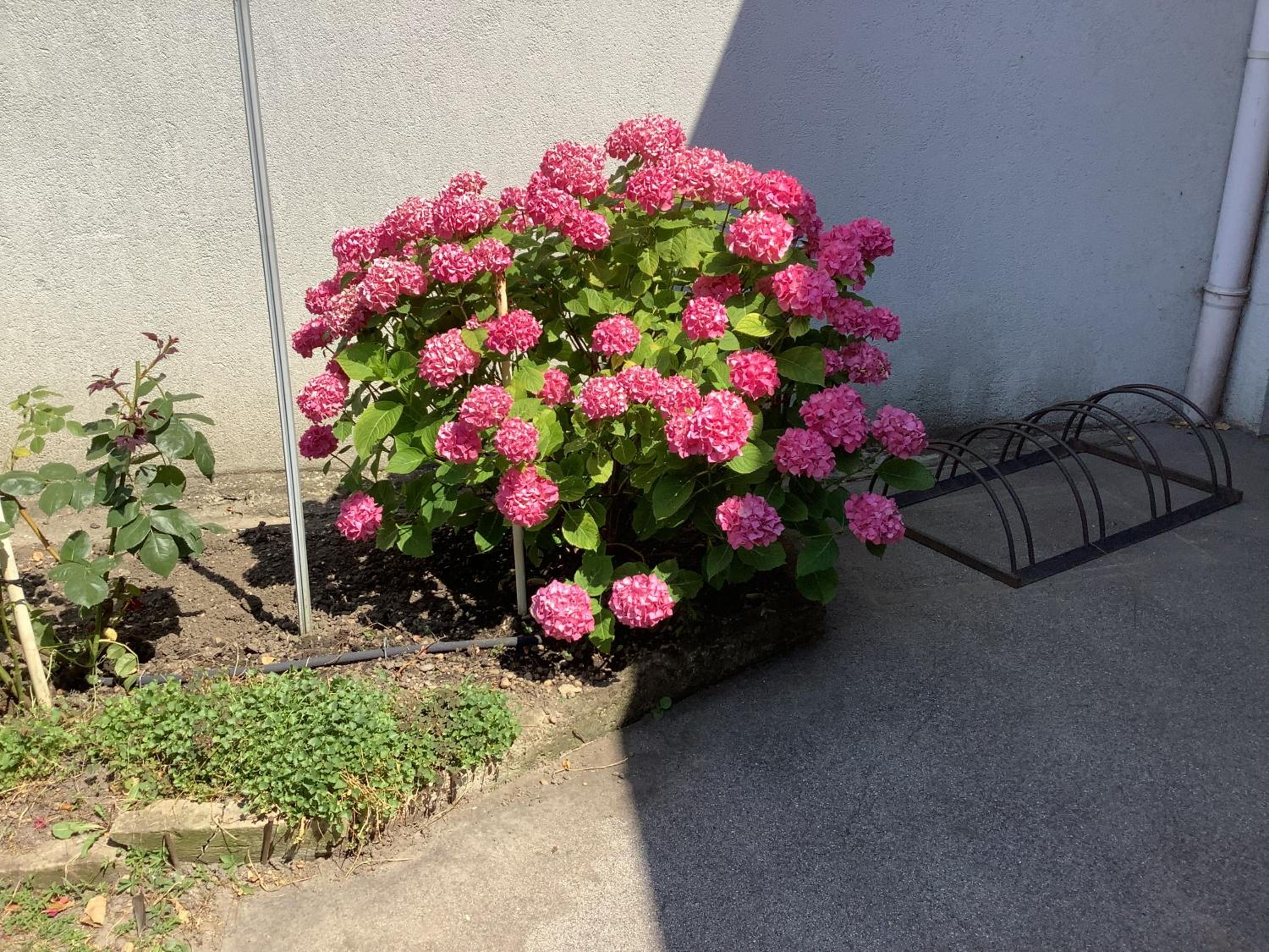 Photo 23