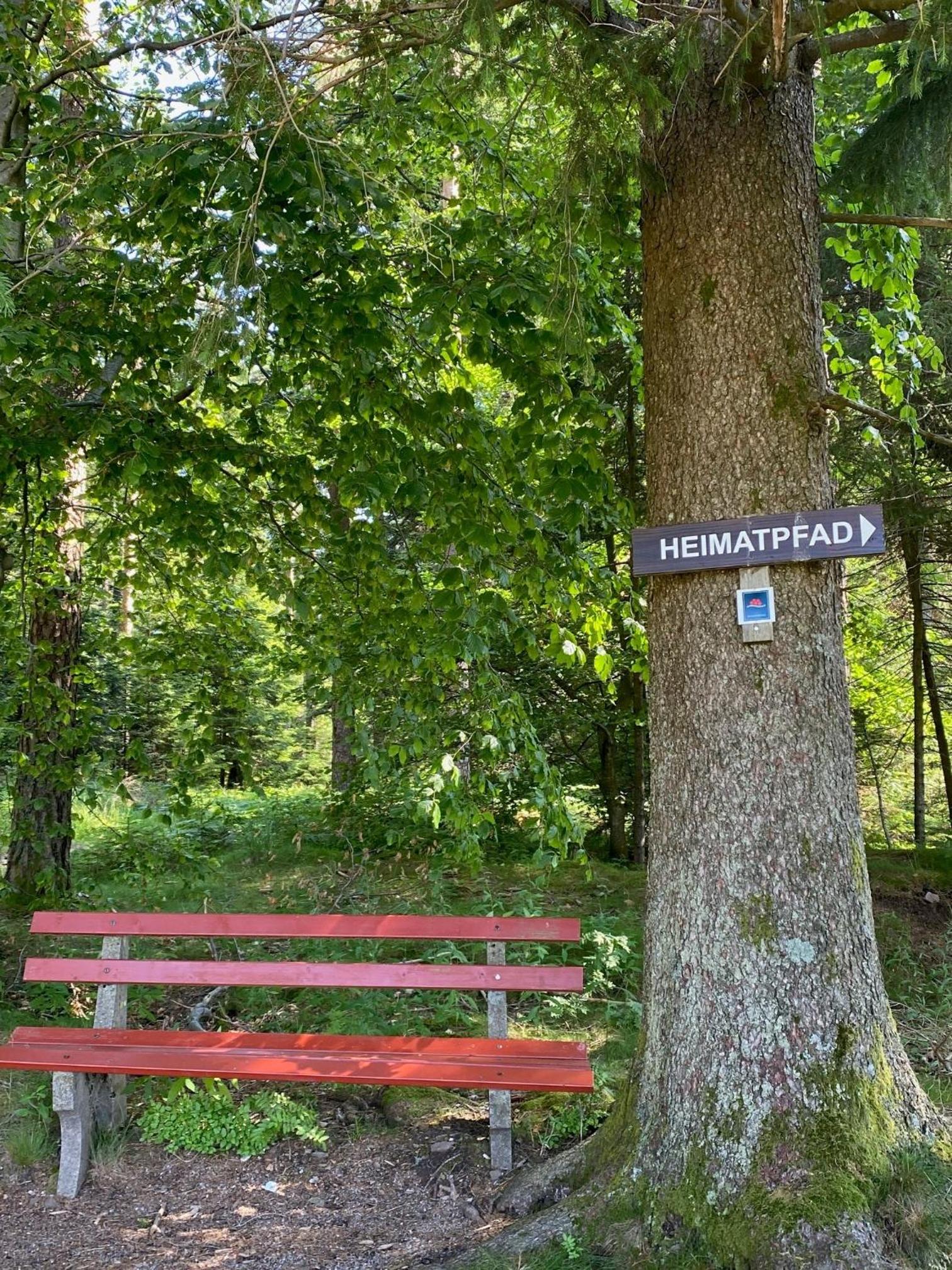 Ferienwohnung Schwarzwald Oase Kniebis
