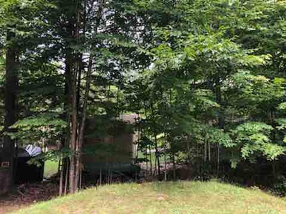 Muskoka Manor STR-2025-168