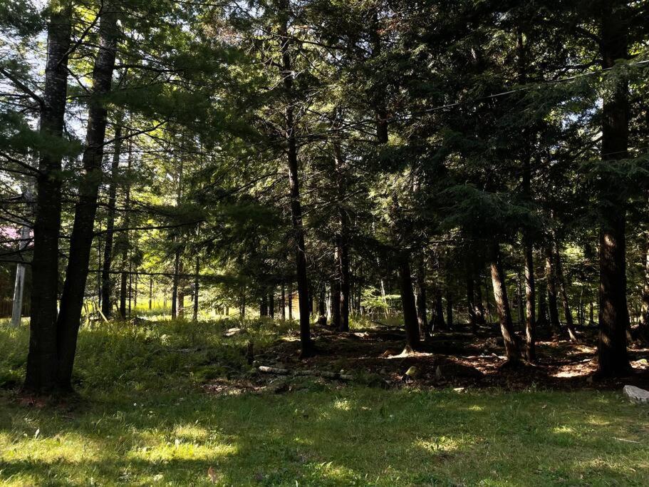 Muskoka Manor STR-2025-168