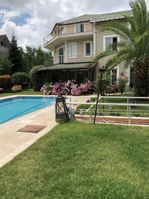 Villa Moon